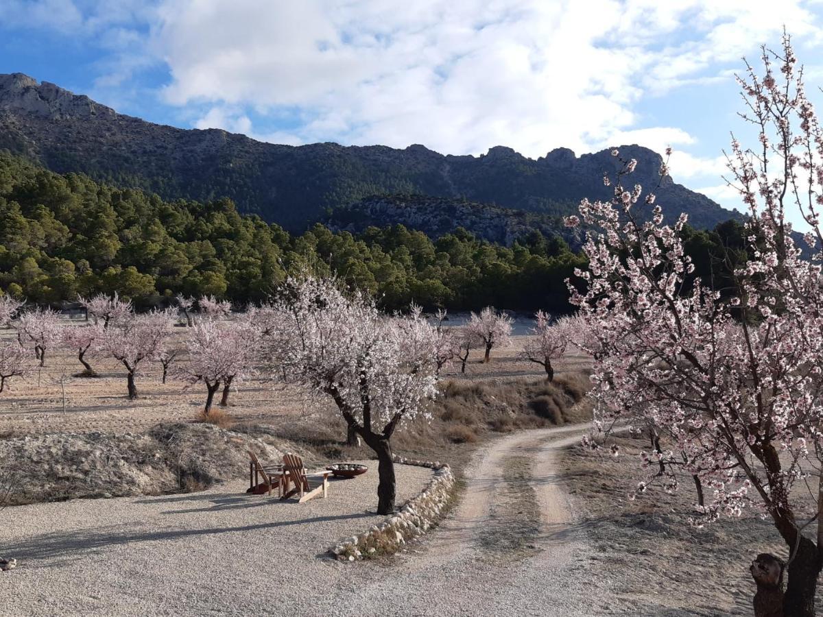 Cortijo Blanco Lägenhet Vélez Blanco Exteriör bild
