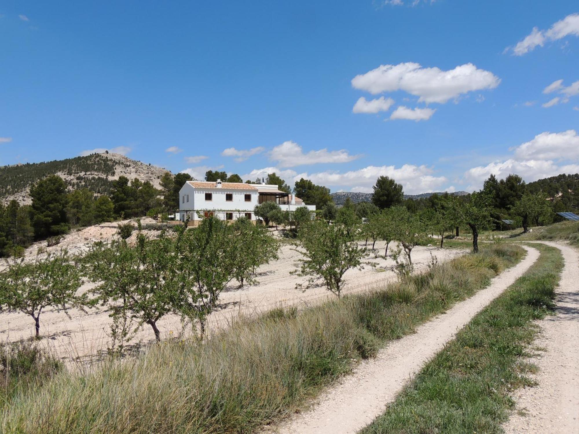 Cortijo Blanco Lägenhet Vélez Blanco Exteriör bild