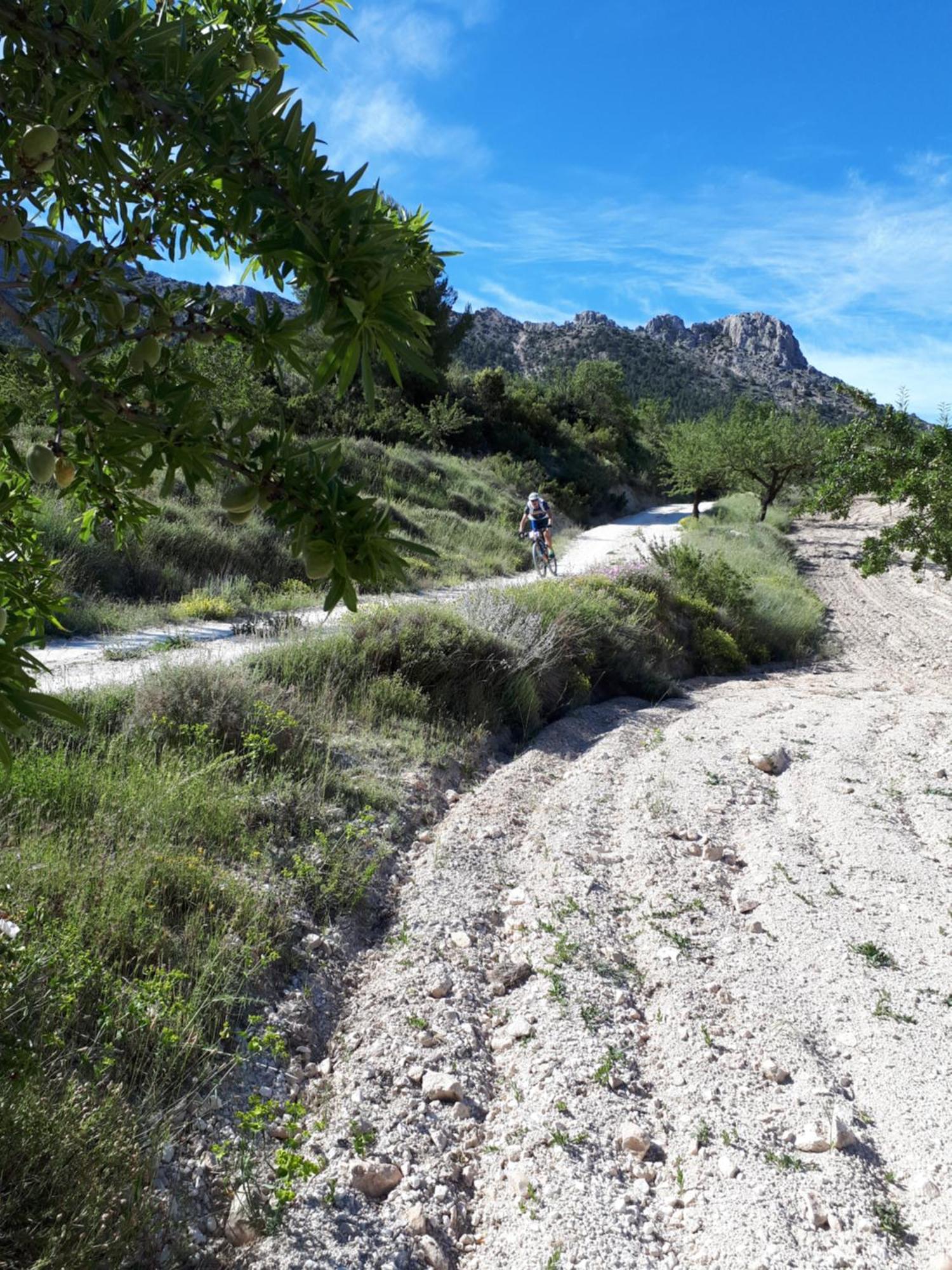 Cortijo Blanco Lägenhet Vélez Blanco Exteriör bild
