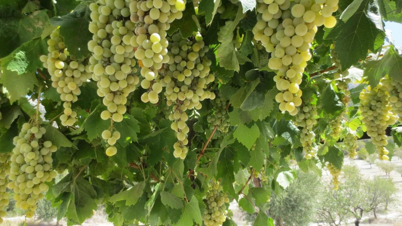 Cortijo Blanco Lägenhet Vélez Blanco Exteriör bild